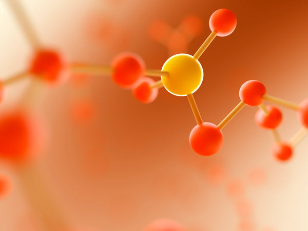 Complete Amino Acid Profile
